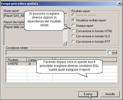 Finestra_Esegui_Report